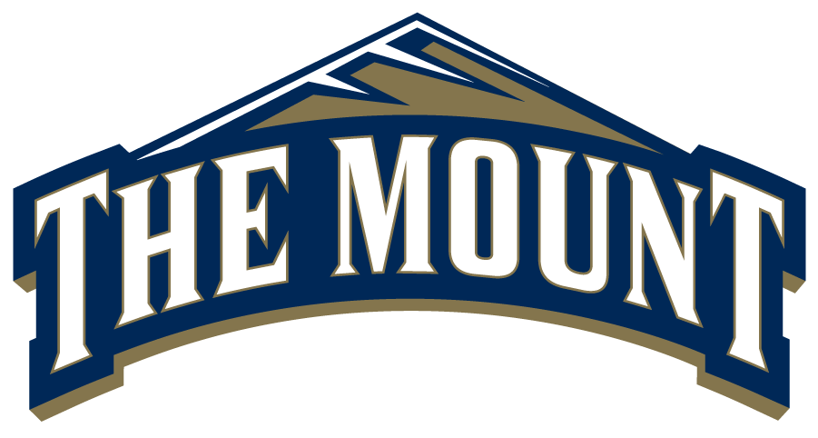 Mount St. Marys Mountaineers 2016-Pres Primary Logo iron on transfers for clothing